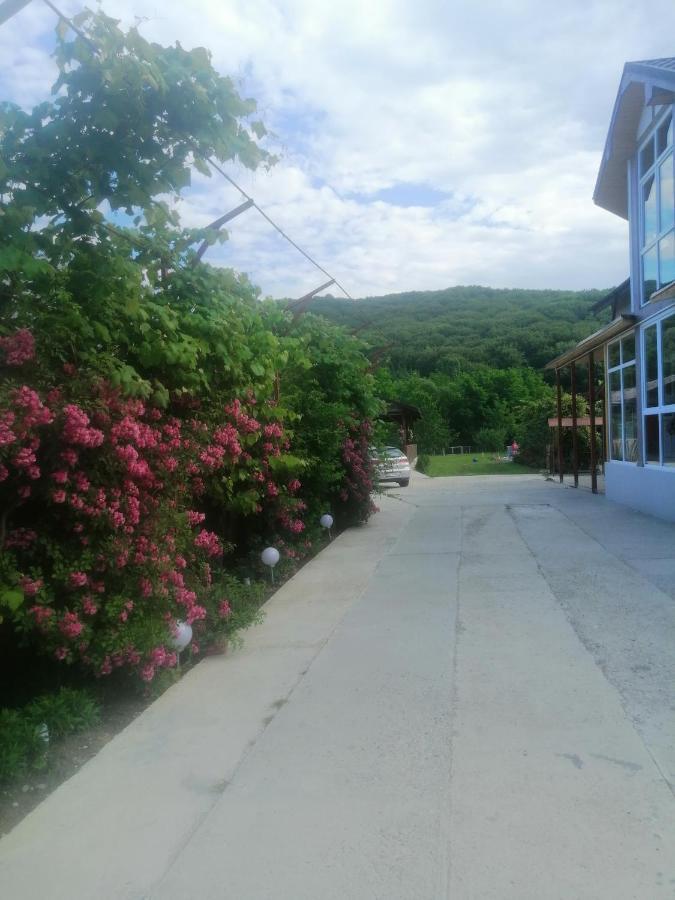 Casa Amaya Bacau Exterior photo